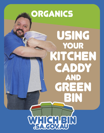 Using your kitchen caddy and green bin